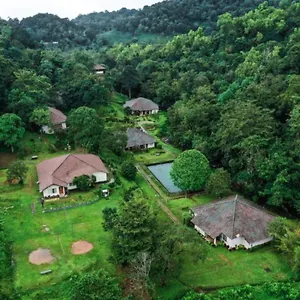 Abad Brookside Wayanad India